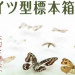 ホームページ公開のお知らせ