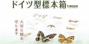 ホームページ公開のお知らせ