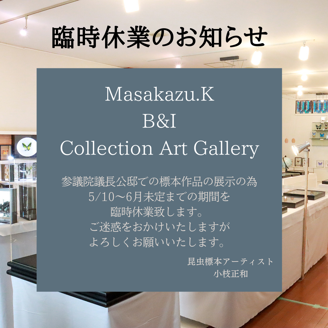 Masakazu.K B&I Collection Art Gallery 臨時休業のお知らせ