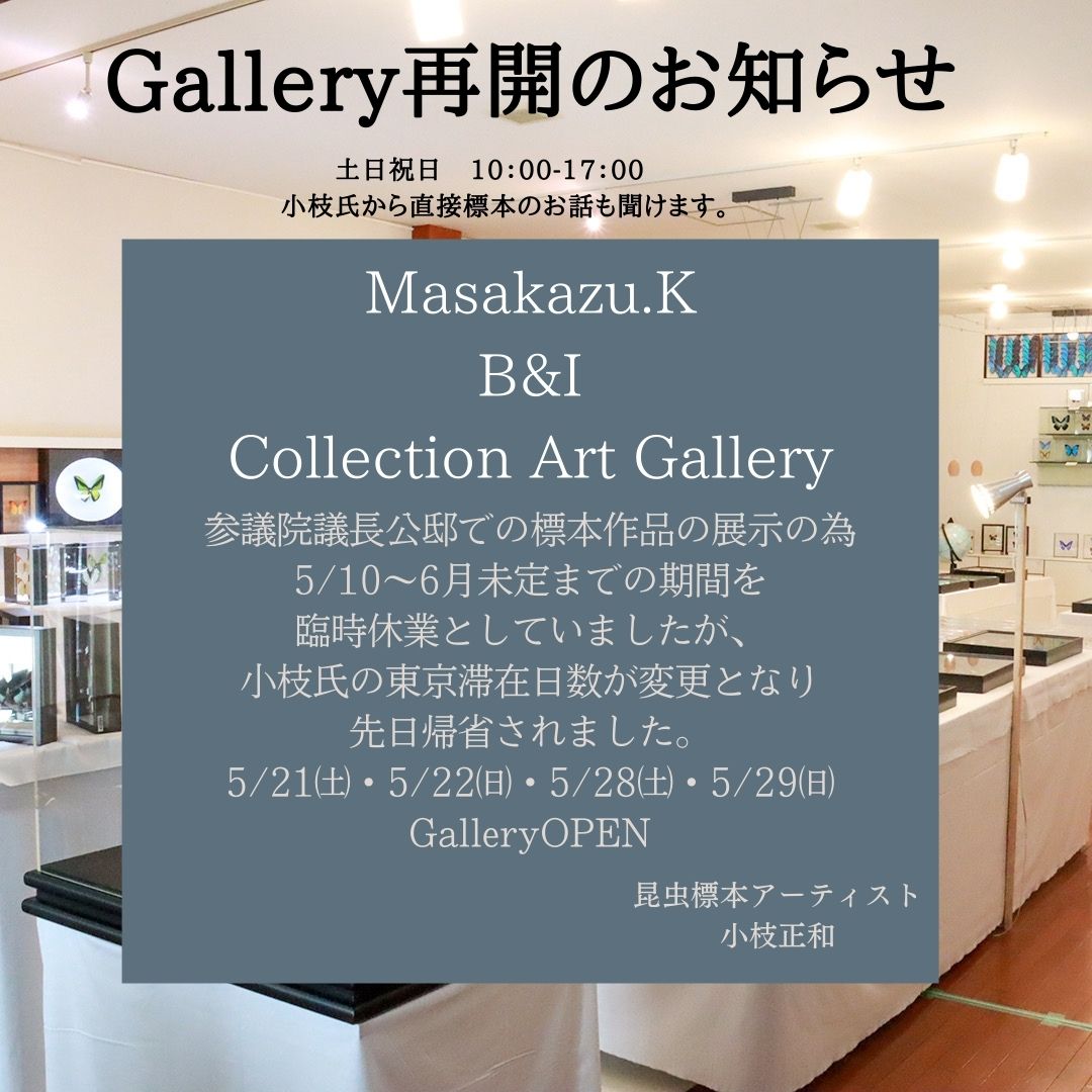 Masakazu.K B&I Collection Art Gallery 再開のお知らせ