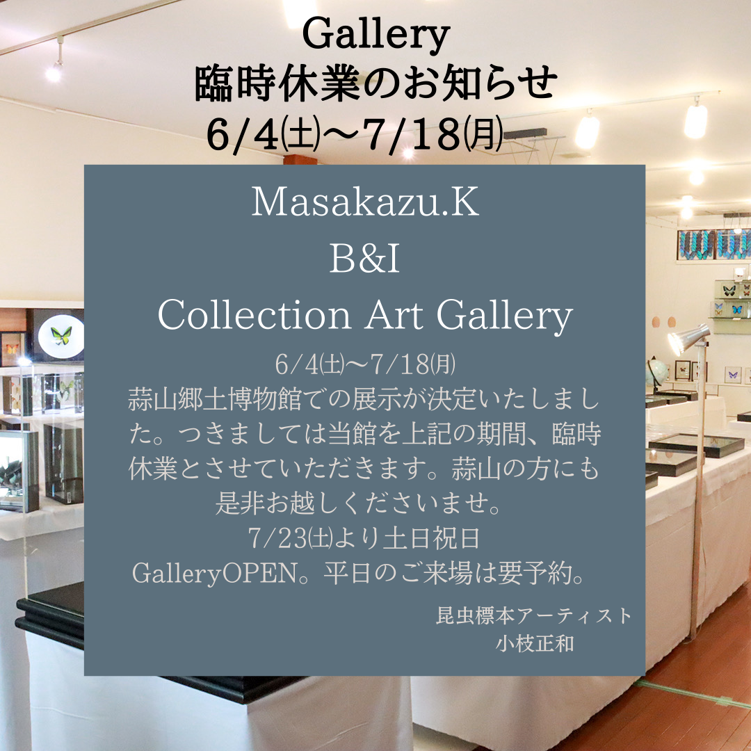 Masakazu.K B&I Collection Art Gallery 臨時休業のお知らせ